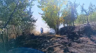 İnegöl'de Anız Yakımı Yangına Sebep Oldu, 1 Saatte Kontrol Altına Alındı