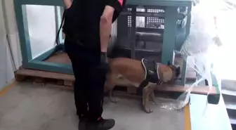 İstanbul'da 60 Kilogram Kokain Ele Geçirildi