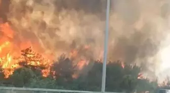 İzmir Buca'da Orman Yangını: Havadan ve Karadan Müdahale Başlatıldı