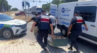 Manavgat'ta Kanseri Yenen Adam Trafik Kazasında Hayatını Kaybetti