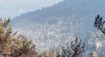 Karabük'te Orman Yangınları Devam Ediyor: 14 Köy Boşaltıldı