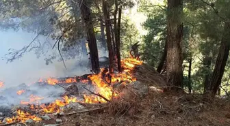 Adana'nın Kozan İlçesinde Orman Yangını Çıktı
