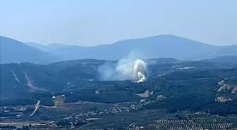 Muğla'da Orman Yangını: Trafik Kapandı