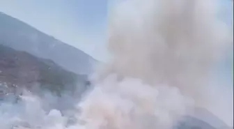 Yatağan'da Tarım Arazisinde Yangın!