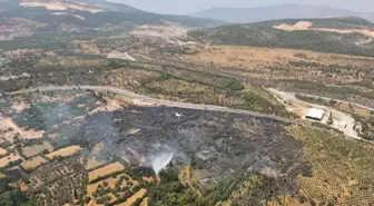 Yatağan'daki Yangın Kontrol Altına Alındı