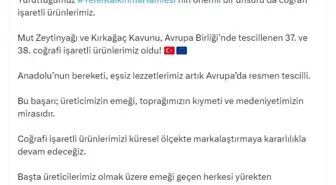 Mut Zeytinyağı ve Kırkağaç Kavunu, Avrupa Birliği'nde Tescillendi