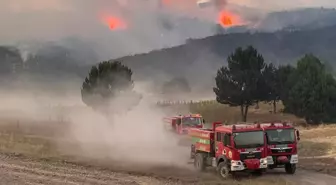 Orman yangınlarında ölümcül tuzak! Alev Kırbacı can alıyor
