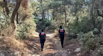Aydın'da Orman Yangınlarına Karşı Tedbirler Artırıldı