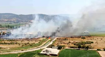 Aydın'da Çiftliği Tehdit Eden Yangın Kontrol Altına Alındı