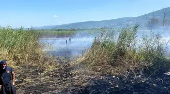 Sapanca Gölü'nde Sazlık Alanında Yangın Kontrol Altına Alındı