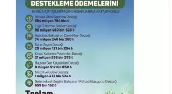 Çiftçilere 826 Milyon TL Tarımsal Destek Ödemesi Yapılacak