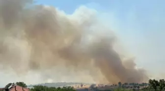 Uşak'ta Meşelik Alanda Yangın: Müdahale Devam Ediyor