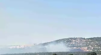 Uşak'ta Meşelik Alanda Yangın: Müdahale Devam Ediyor