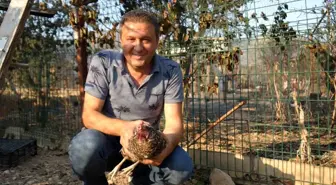 Bilecik'teki Orman Yangınında 'Umut' Dönüşü