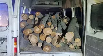 Düzce'de 1 Ton Kaçak Orman Ürünü Ele Geçirildi