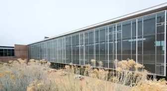 New Mexico Üniversitesi'nde Silahlı Saldırı: 1 Ölü, 1 Yaralı