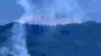 Adana'da Orman Yangını: Ekipler Müdahale Ediyor