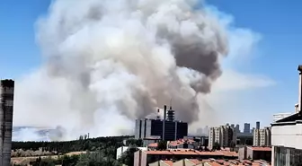 Eymir Gölü Ormanında Yangın Kontrol Altına Alındı