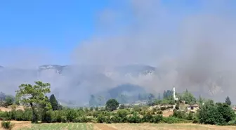 Antalya'da Orman Yangını