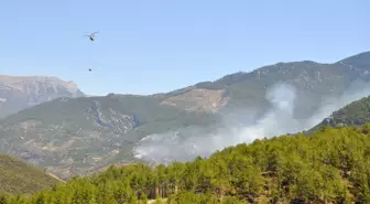 Antalya'da Orman Yangınları ile Mücadele Sürüyor