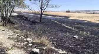 Eskişehir'deki Yangın Hızla Söndürüldü
