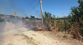 Bursa'da Yangın: Göl Yolu Üzerindeki Otluk Alan Alev Alev Yandı