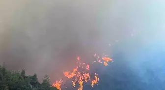Bursa'da Orman Yangınları Panik Yarattı
