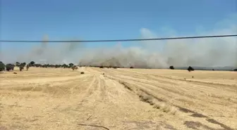 Çanakkale'de Tarım Arazisinde Yangın: Havadan ve Karadan Müdahale