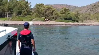 Datça'da Düzensiz Göçmenler Yakalandı