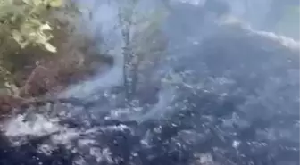Datça'da Kuru Ot Yangını Kontrol Altına Alındı