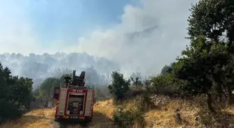 Diyarbakır'ın Lice ilçesinde orman yangınına 9 saatlik müdahale