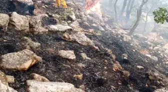 Diyarbakır Lice'de Orman Yangınına Helikopterli Müdahale