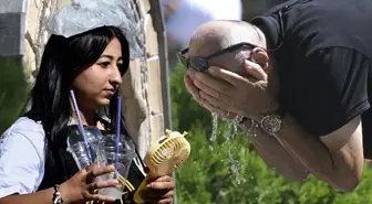 Dünya adeta yanıyor! Türkiye'de rekor Silopi'de