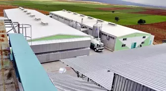 FETÖ soruşturmasında YUMTAT'a da kayyum atandı