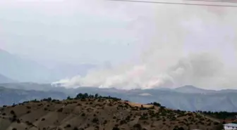 Kahramanmaraş'ta Orman Yangını