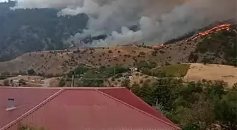 Kahramanmaraş'ta Orman Yangını Çıktı