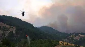 Kahramanmaraş'ta Orman Yangınına Müdahale Devam Ediyor