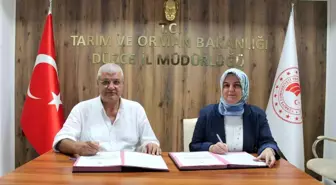 Düzce'de Fındık İşletme Tesisine 7,6 Milyon Lira Hibe