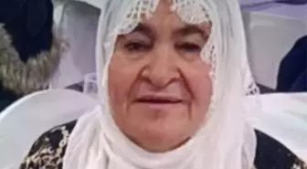 Almanya'dan Nusaybin'e Gelen Yaşlı Kadın Evinde Ölü Bulundu