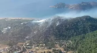 Muğla'da Tarım Arazisinde Çıkan Yangın Ormana Sıçradı