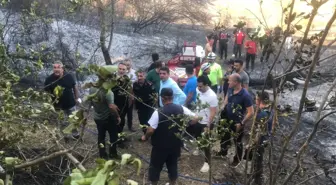 Sakarya'daki Orman Yangını Kontrol Altına Alındı
