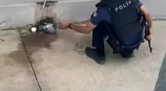 Polis Memurundan Merhamet Dolu An: Bitkin Güvercine Su Verdi