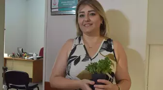 Sigara Bırakan Kadından Fesleğen Saksısı