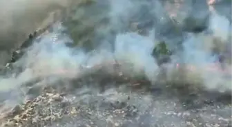 Silifke'de Orman Yangınına Hızla Müdahale