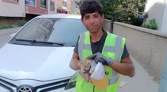 Temizlik Görevlisi, Sıkışan Yavru Kediyi Kurtardı