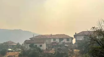 Uşak'ta Orman Yangını: Tahliyeler Başladı ve Evlere Zarar Verildi