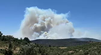 Uşak'ta İki Farklı Noktada Yangın Çıktı