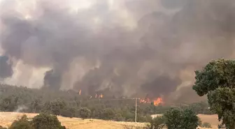 Uşak'taki Yangına Hava ve Kara Müdahalesi Devam Ediyor