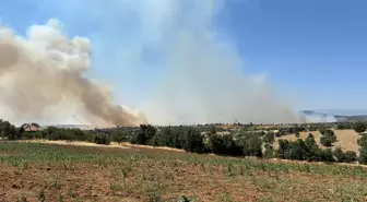 Uşak'ta Meşelikte Çıkan Yangın 16 Saat Sonra Kontrol Altına Alındı