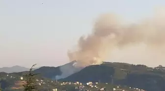 Zonguldak'ta Orman Yangını Kontrol Altına Alındı